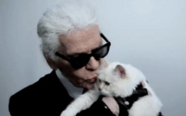 metgala绾㈡2022,metgala绾㈡2021