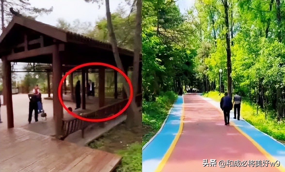 吉林白山一公园母子身亡,白山一对母子上吊事件