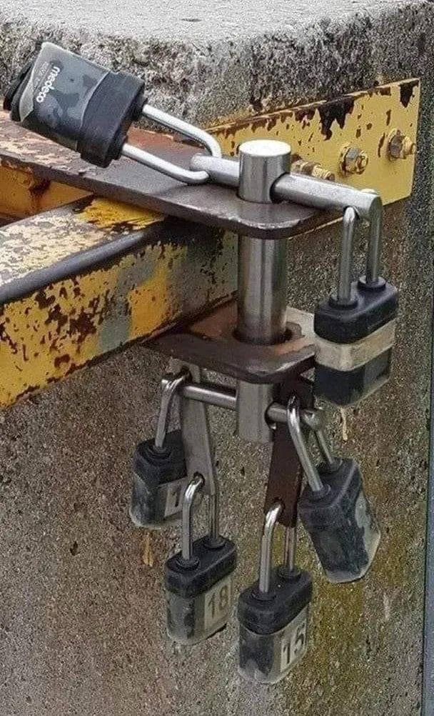 10张绝美站立姿图,20张让人涨知识的图片