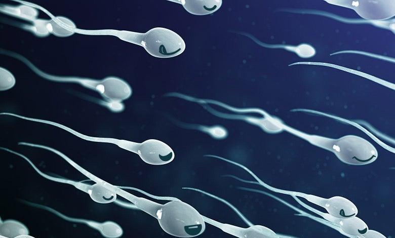 精子的生命力有多强大,精子的8大秘密