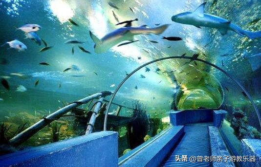 2023西安亲子游景区大全，30多个遛娃宝地，很多都免费