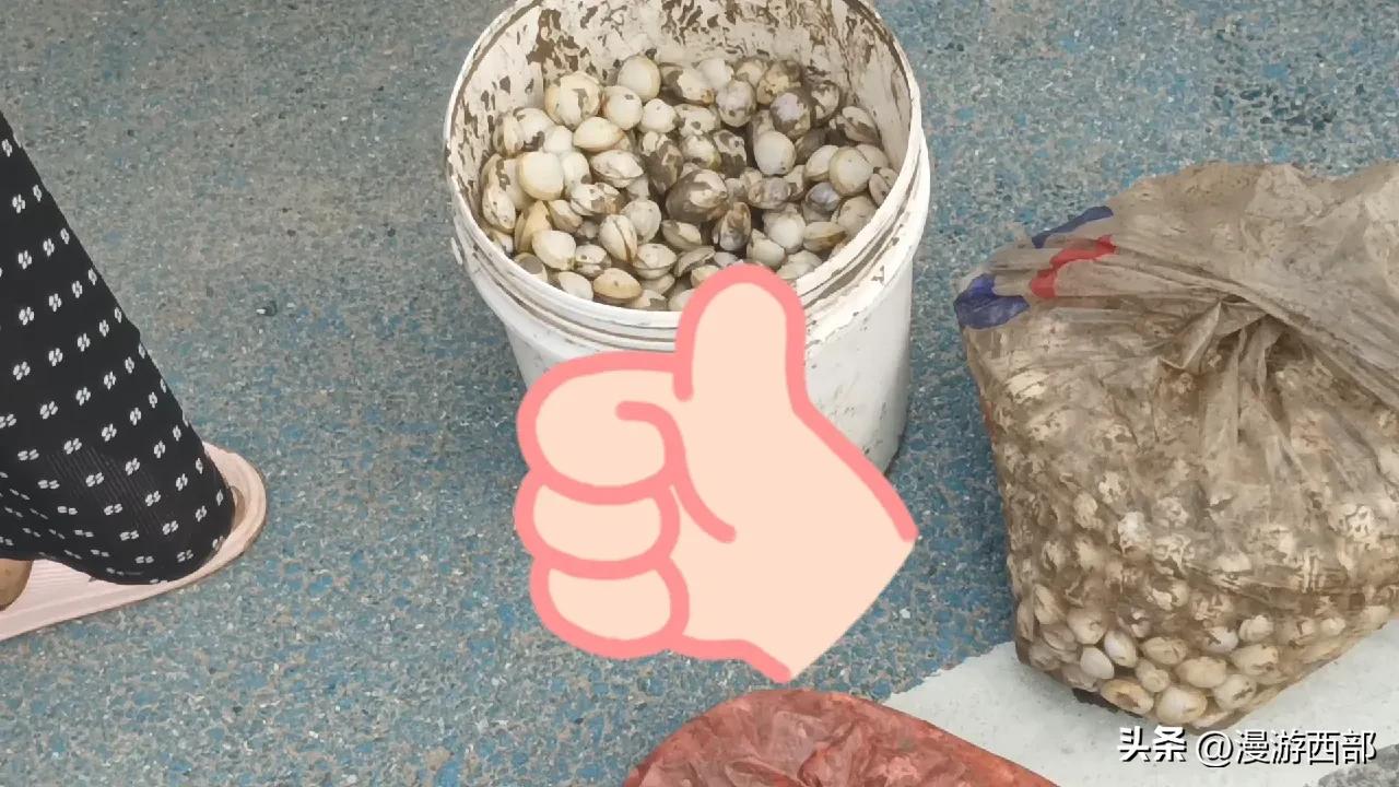 上海踏青一日游推荐,五一上海周边春游攻略