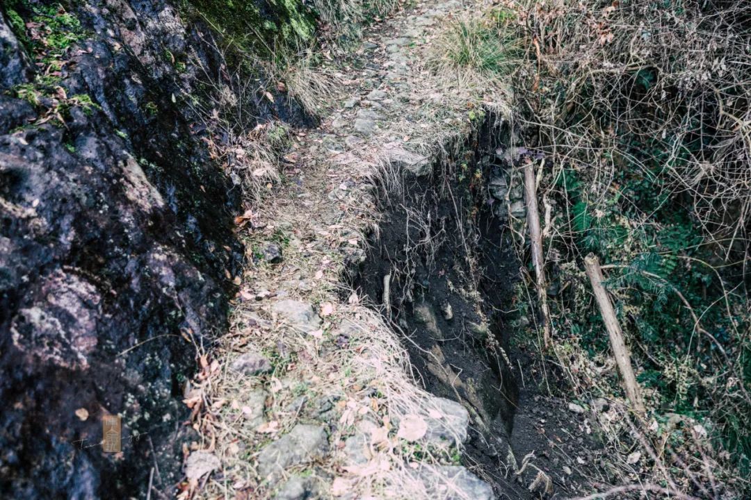 鍏泜绉樺,浠欏眳鍏泜绉樺