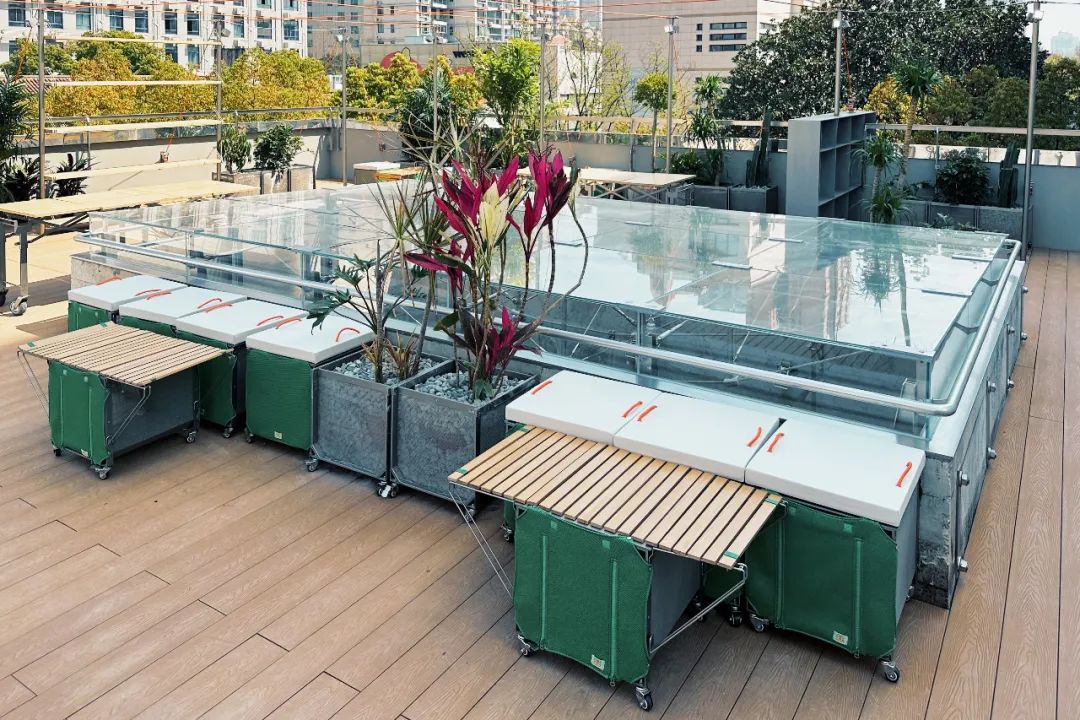 kolon最新款,kolon虎年新款