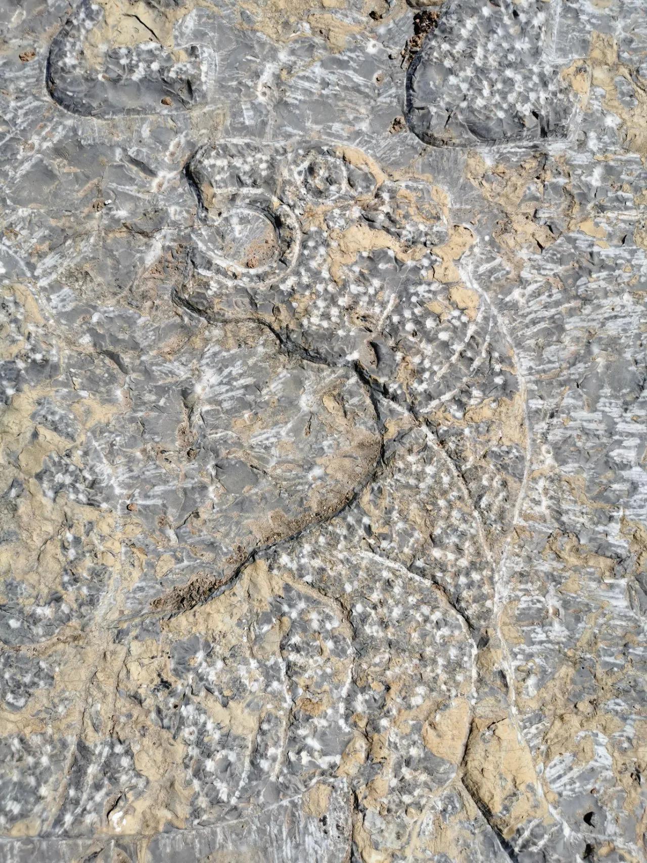 盗墓古墓的秘密,盗墓发现古墓全过程