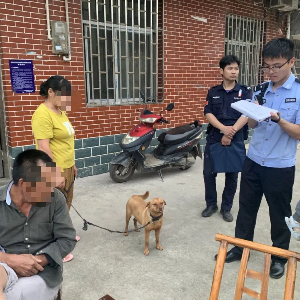 文明城市因不文明养犬被处罚,抚顺整治不文明养犬