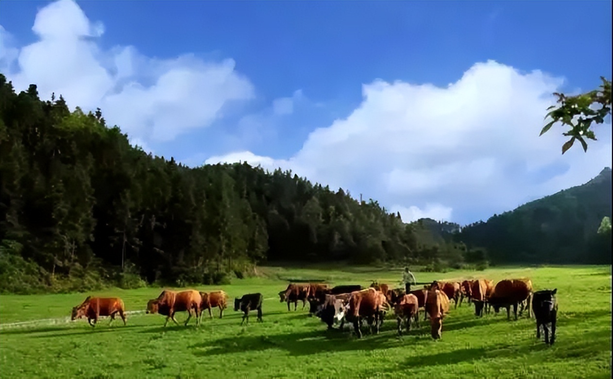 重庆支柱产业项目,重庆已形成的万亿级产业集群