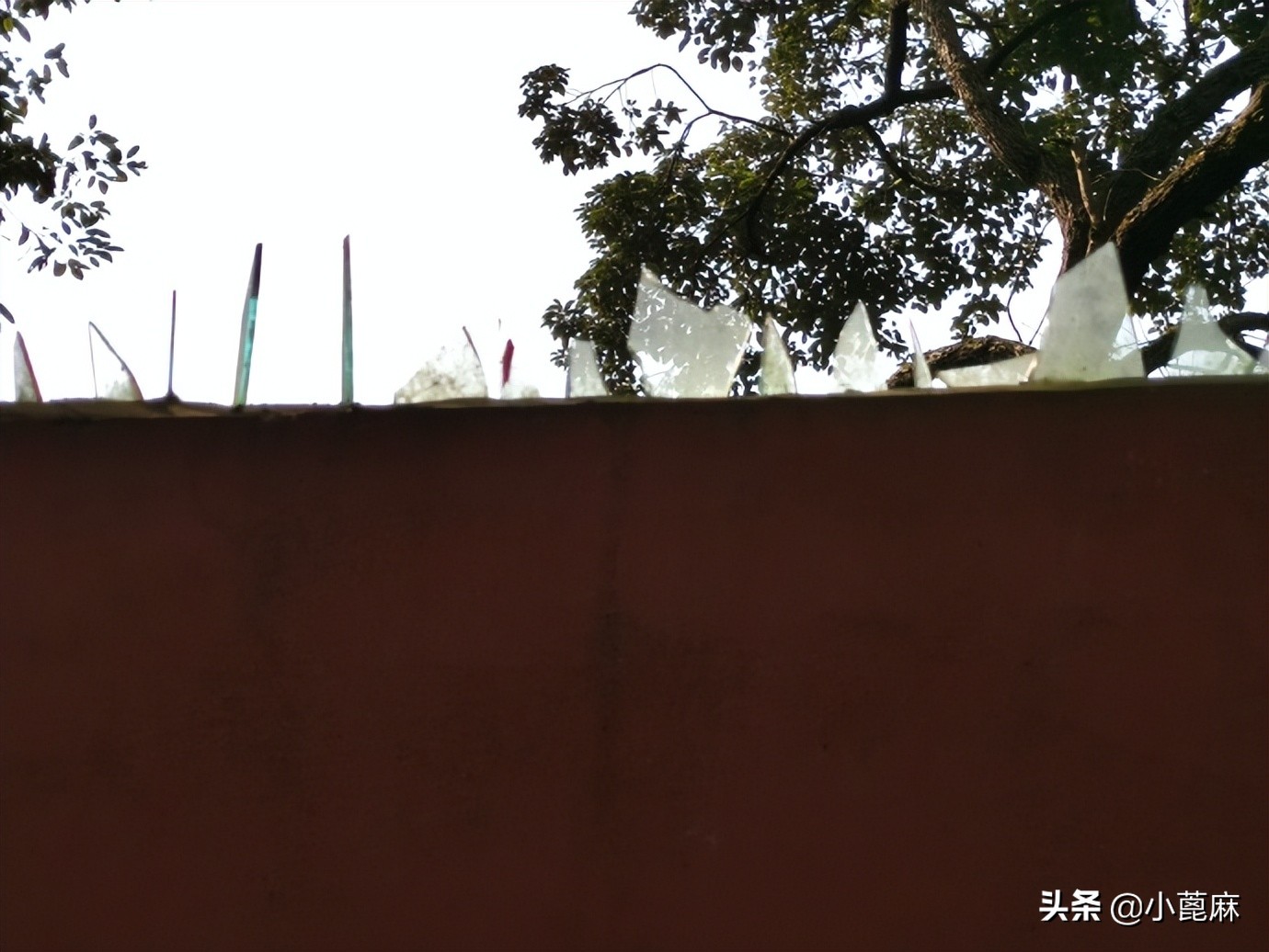 四川眉山彭山有哪些旅游景点,眉山齐山双佛旅游景点推荐