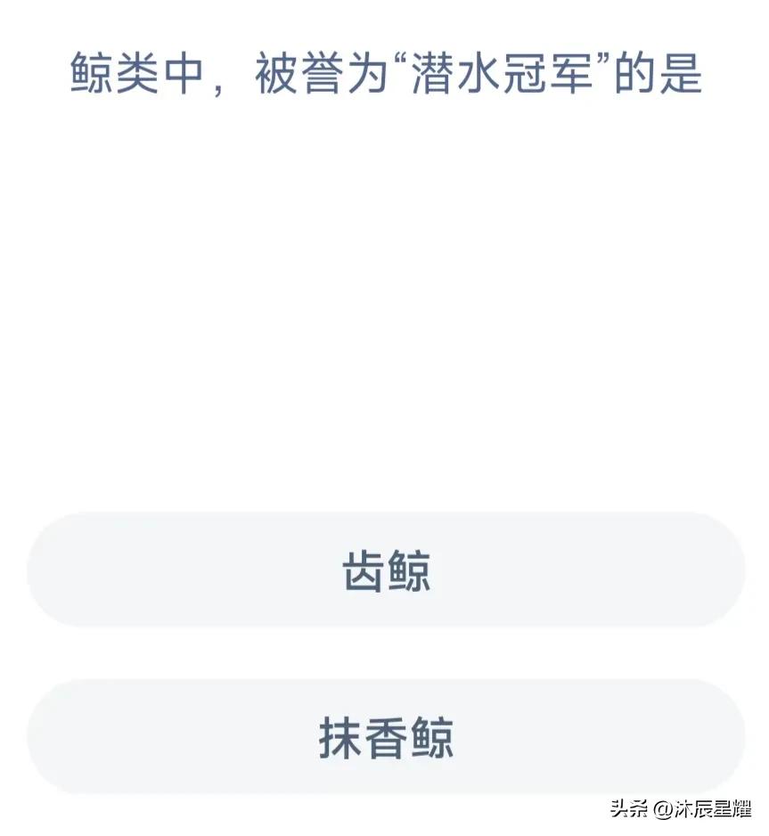 支付宝解除限制安全答题答案,支付宝全民消防学习答题考试答案