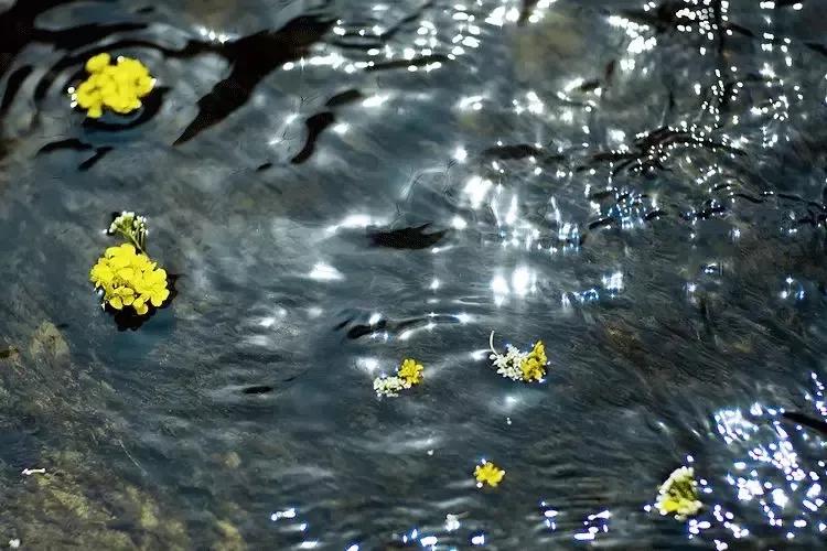 几时归去仍是闲人,何时归去做个闲人图片