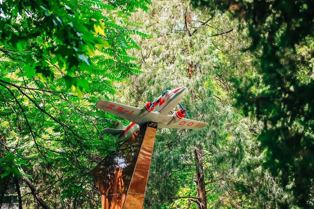 考北航要政审吗,上北航