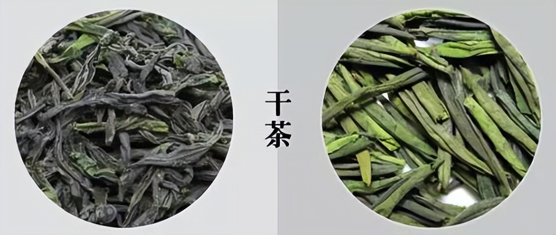 世界上唯一的绿茶六安瓜片,中国有名的茶叶六安瓜片