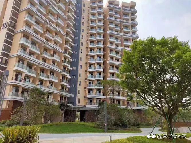 老婆不听劝在深圳买了280万的房,我在深圳买第二套房的故事