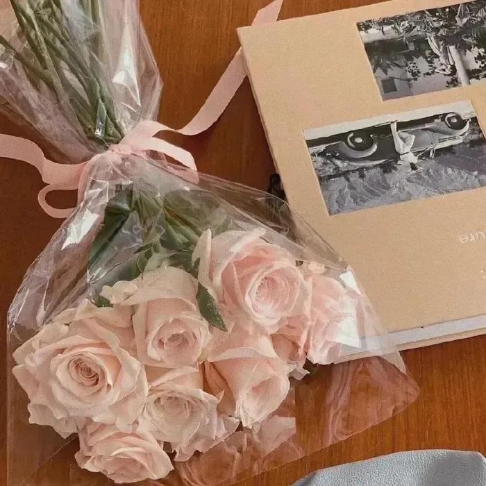 求婚送什么颜色的玫瑰花比较合适,玫瑰花的外形特点和颜色的特点