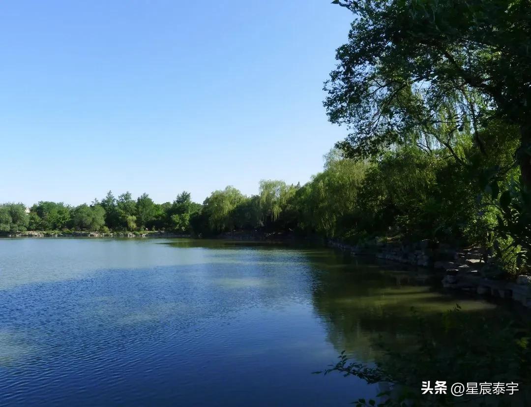 五院四系和985学校哪个有优势,北京大学最牛的学院