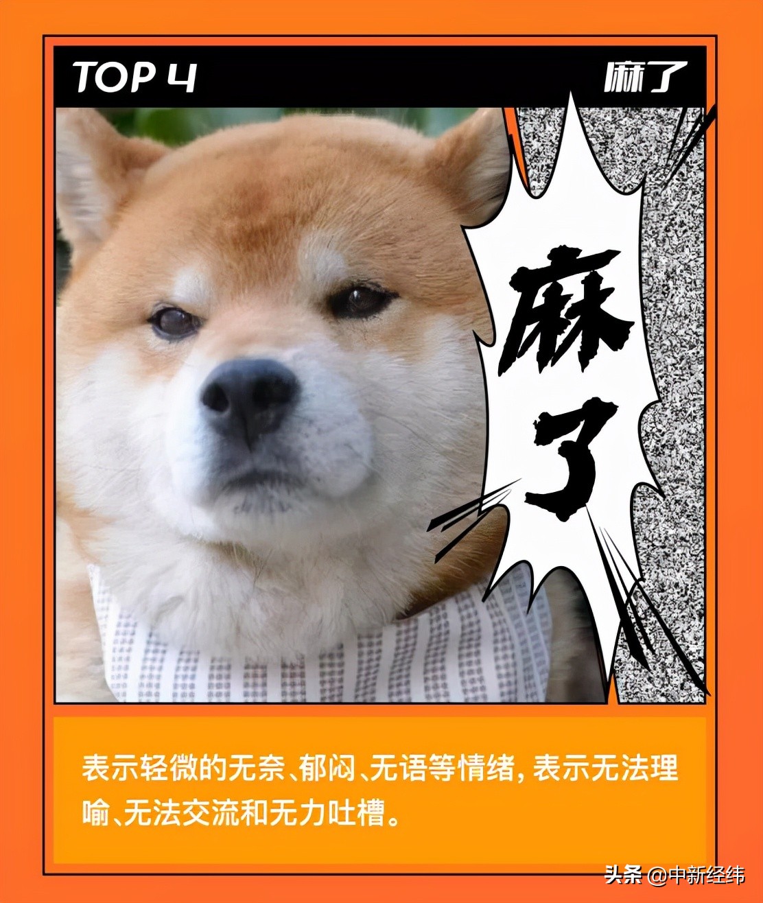 斗鱼弹幕103,斗鱼2021弹幕