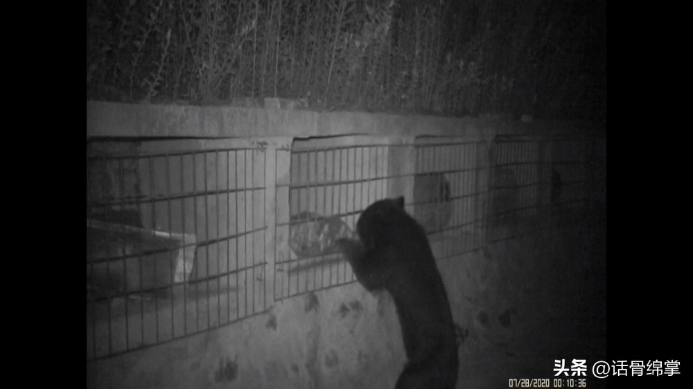 六五环境日关爱自然图片,六五环境日是什么