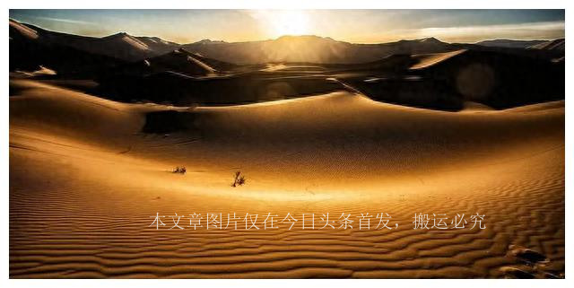 独居百岁老人的故事,独居老人的故事