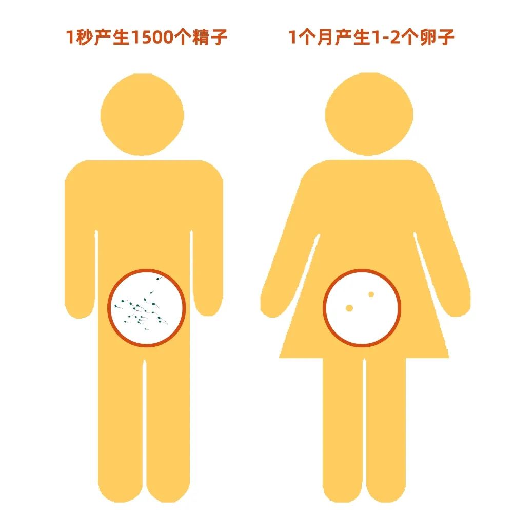 避孕药真的能100%避孕吗,安全有效的避孕药有哪些