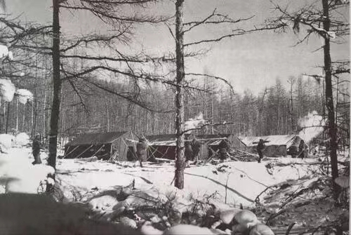 无言的战友（一）作者/齐石