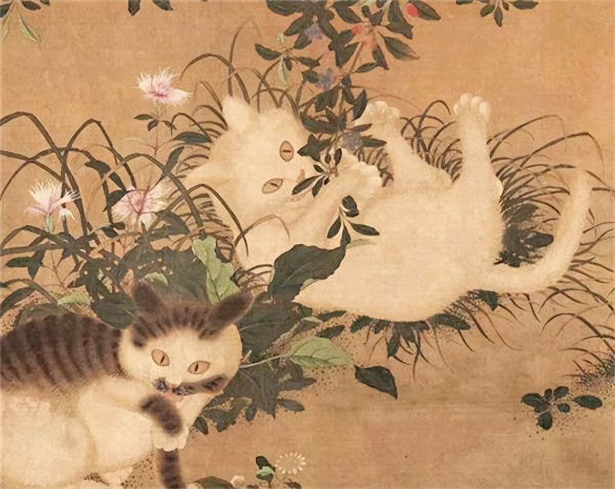 李时珍为什么说猫不能吃,中国人为什么不吃猫