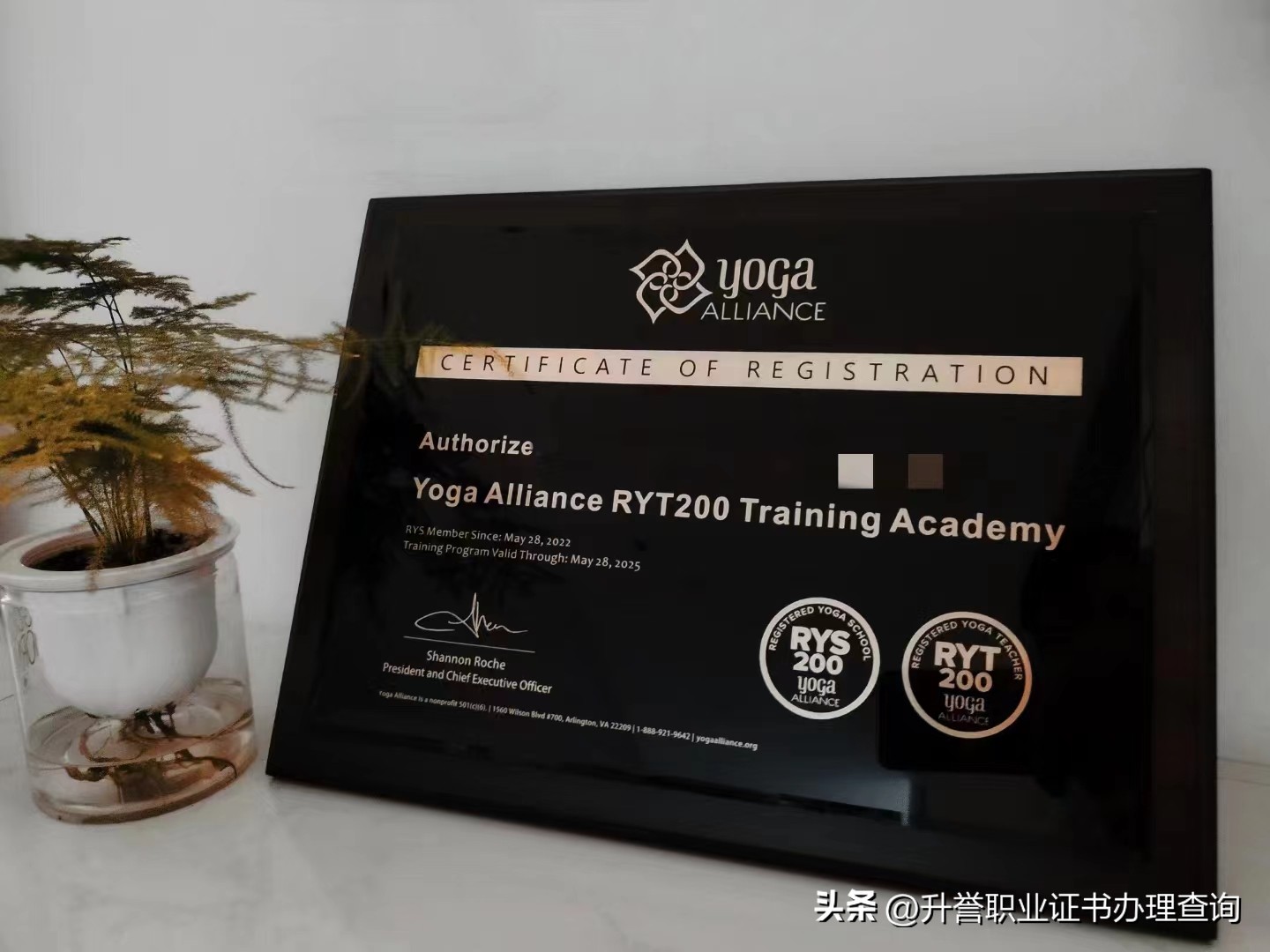 想学瑜伽考了瑜伽资格证,学了瑜伽教培怎么找工作