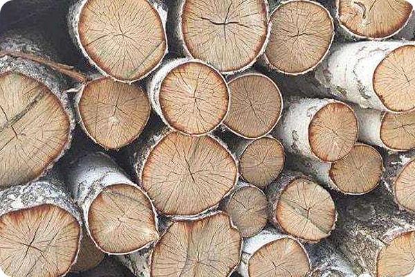 世界上最锋利的斧子,世界最安全的劈柴斧头