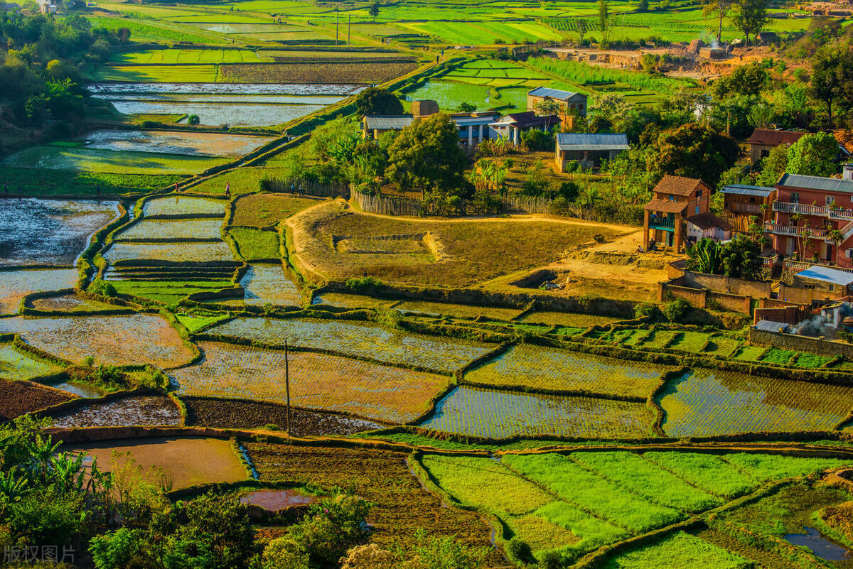 马达加斯加工资待遇,马达加斯加务工工资