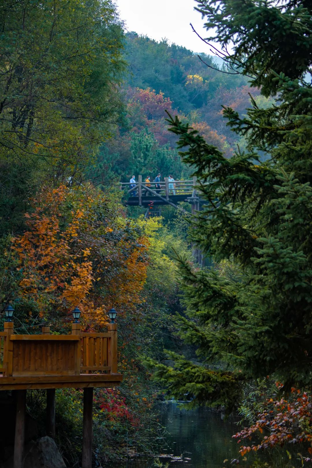 济南九如山秋色美如画,济南九如山秋天景色