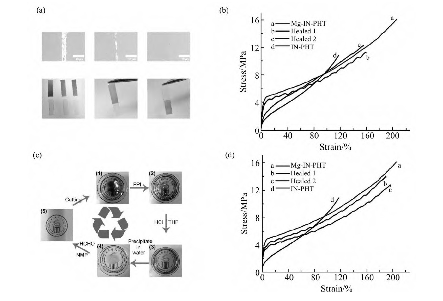 基于动态Mg2+-吲哚，可修复可回收聚六氢三嗪薄膜的制备性能如何