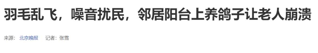 跟赛鸽比赛相比，世界杯*球赌**只能算小场面？