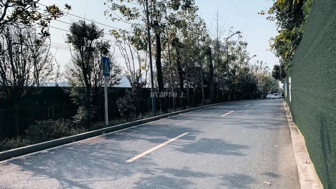 成都成华区城东体育公园,体育公园和大河口哪个值得玩