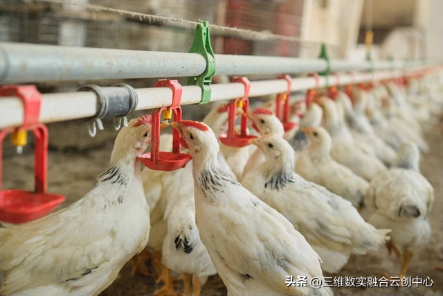 新型家庭农场的致富路,家庭农场的发展红利又将迎来高潮