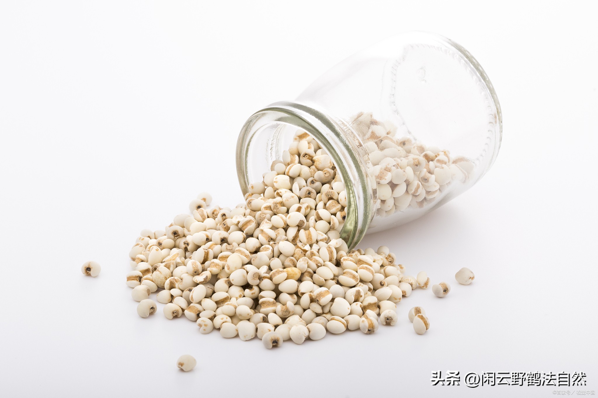 薏仁药食同源辅助降血糖好食材特膳食品前景广