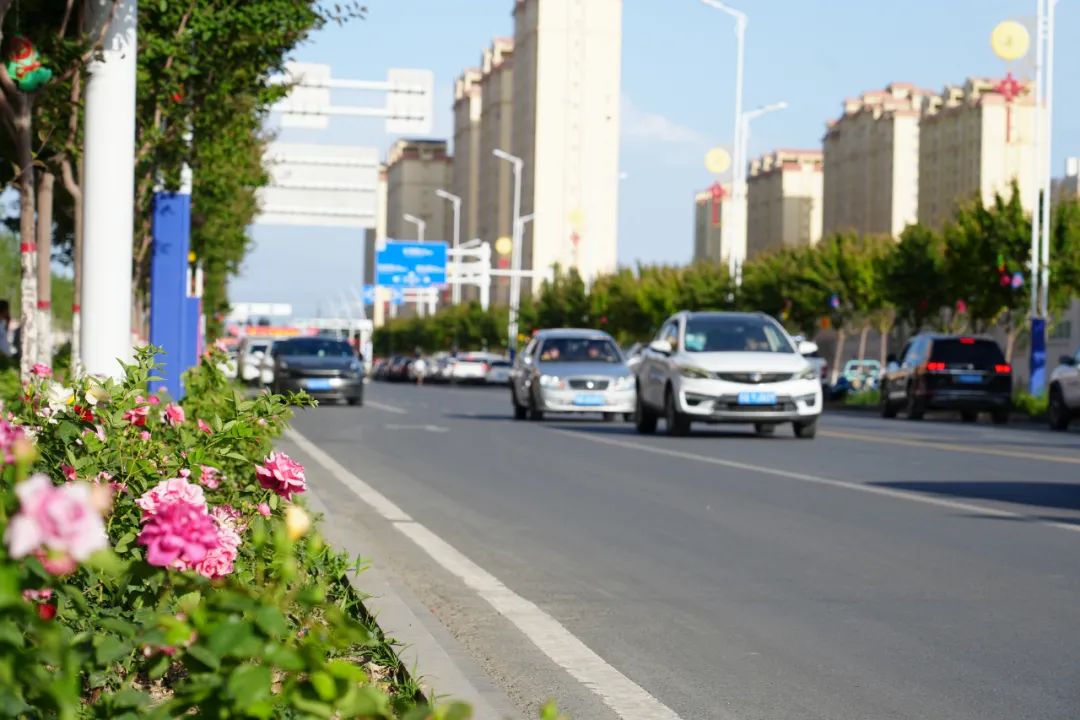 农场人居环境整治助推乡村振兴,农场党建工作