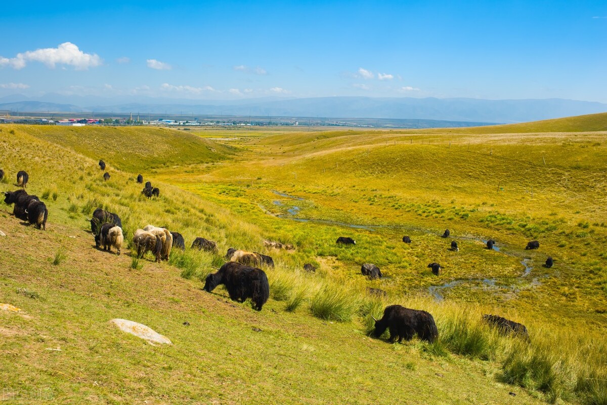 美丽的湟源我的家乡,湟源好玩的自然景色地方