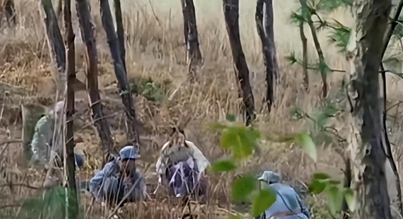 胸罩*点露**，花式泳衣，这些辣眼睛的操作，导演肚子里没一点墨水吗