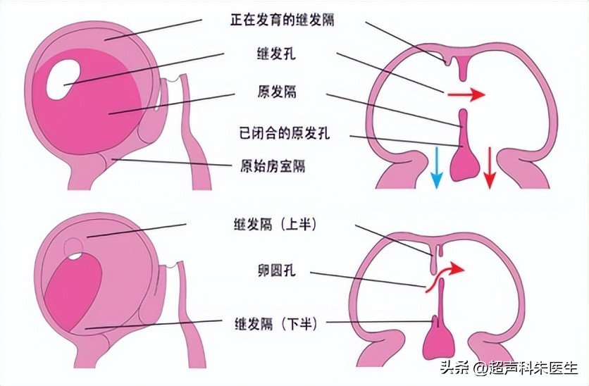 心眼多和心计是好事还是坏事,心眼多心不正