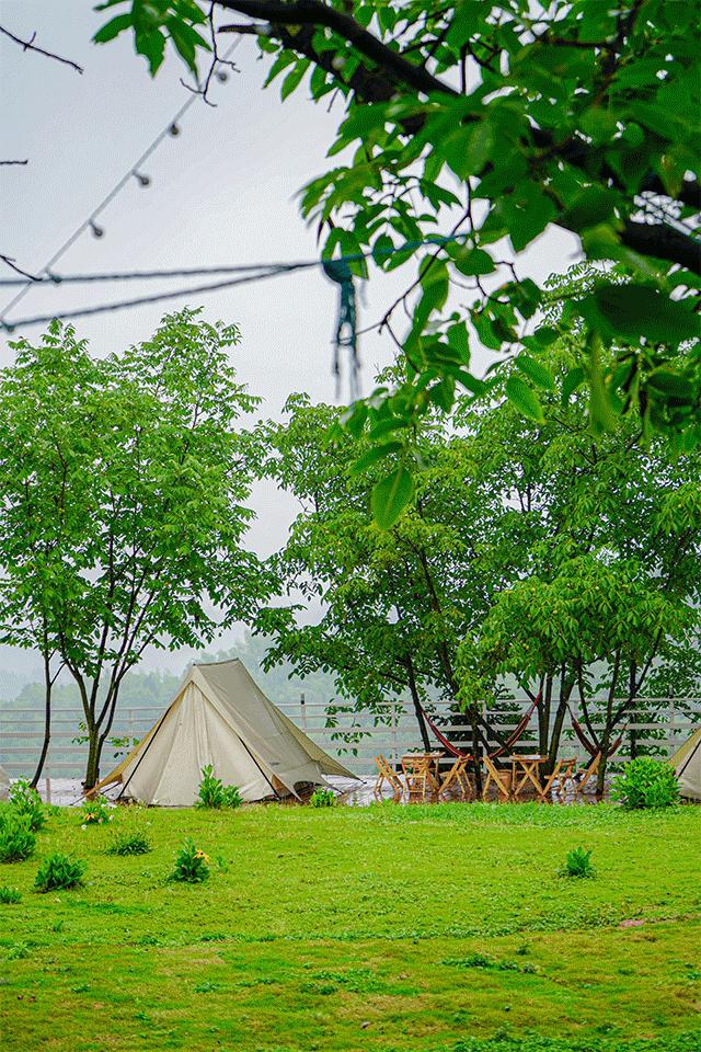 躲进山里民宿,躲在深山老林的民宿