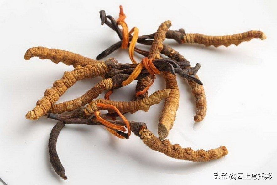 缇庢床浼犵粺鍖诲,鍙や唬缇庢床鎬庝箞娌荤梾