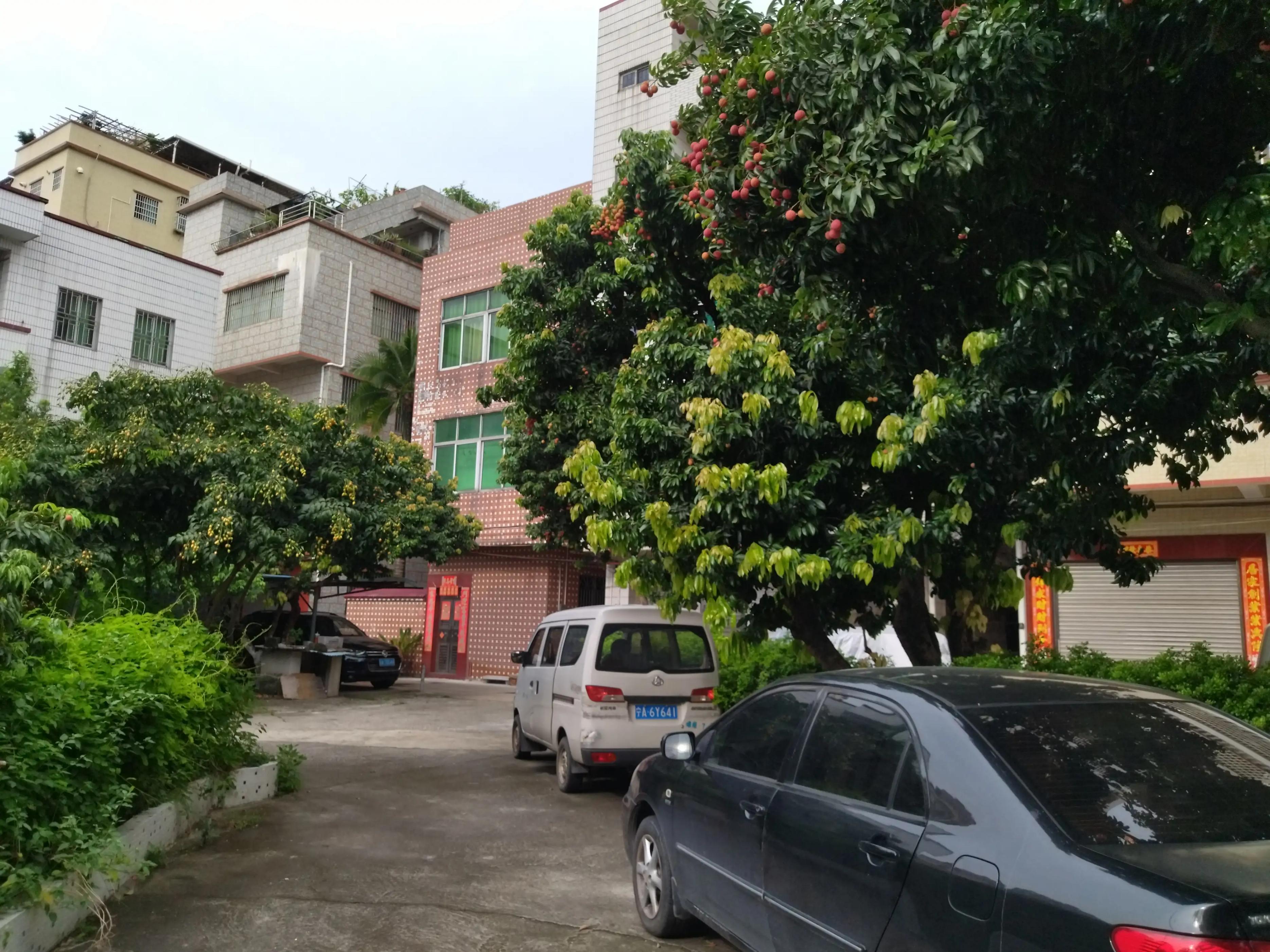 广州滘口租单间300元,广州租白云区公寓800块一个月