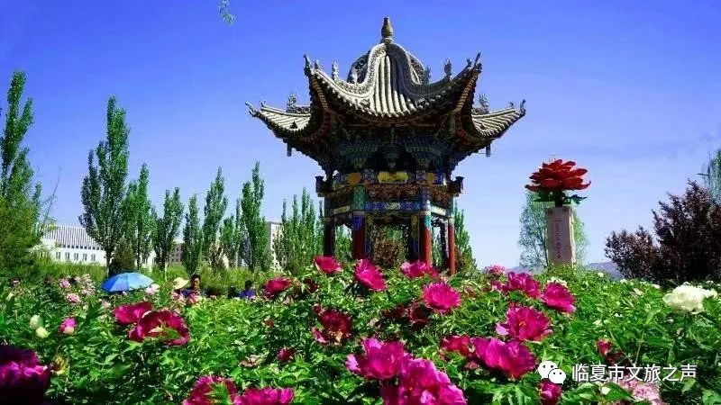 河州游玩攻略,河上一日游最佳路线