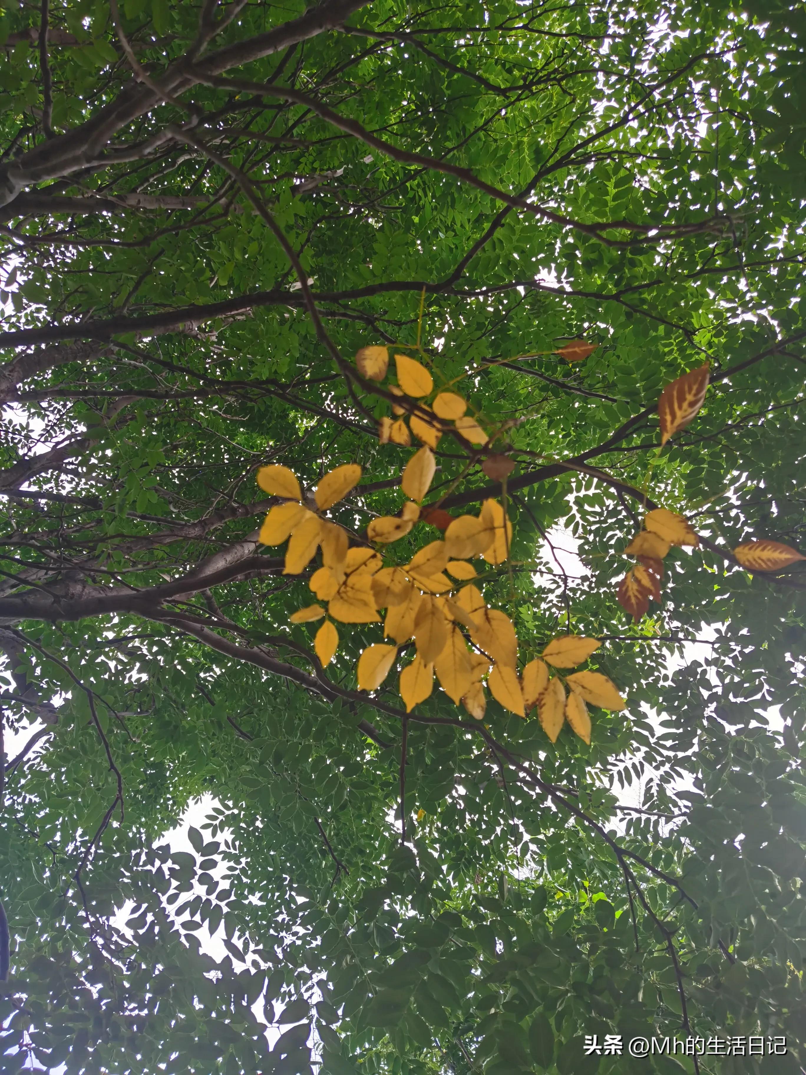 卖药的姐姐,千万不要在网上买药