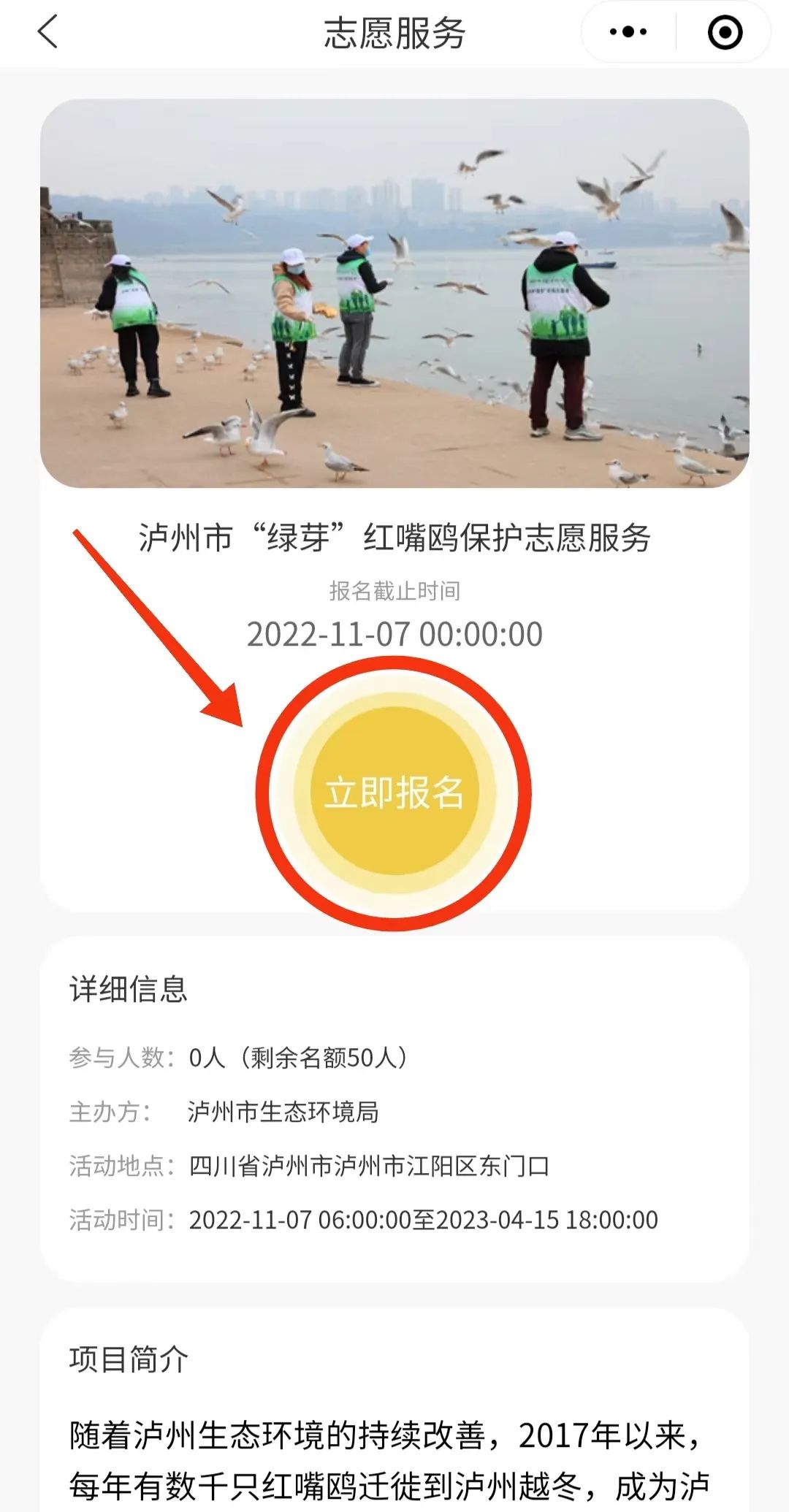 叮~红嘴鸥先头部队已抵泸并向你发出了一份志愿者招募令！