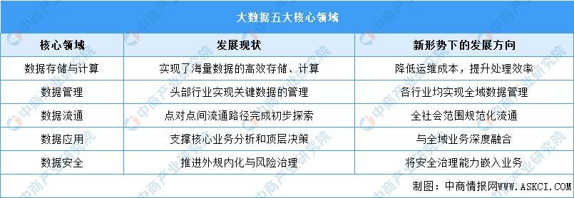 2023年中国大数据行业市场前景及投资研究报告(简版)