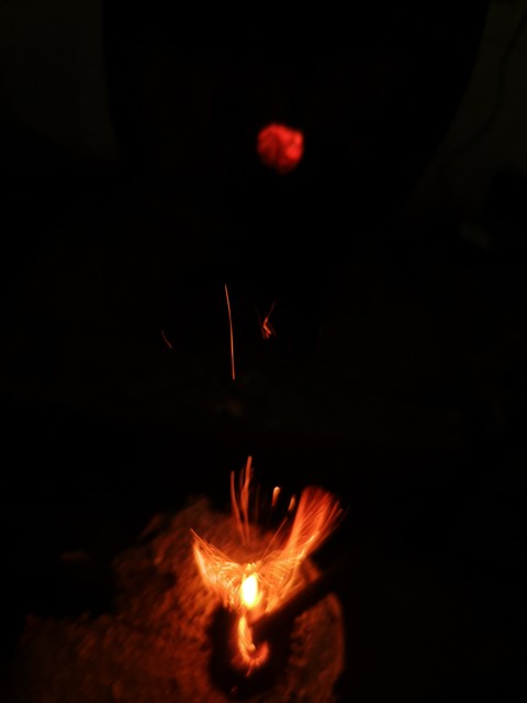 凤凰涅盘浴火重生,涅磐凤凰浴火重生