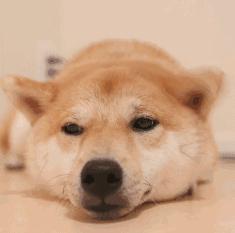 中国人下南洋如何白手起家,白手起家的人特征