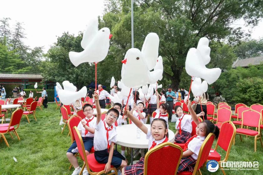 宋庆龄故居内和平鸽舍,建党100周年庆祝大会放飞和平鸽
