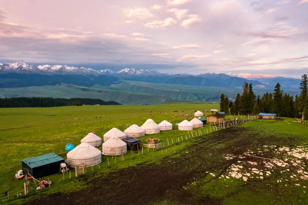 那拉提空中草原雪景照片,大草原的壮丽雪景图