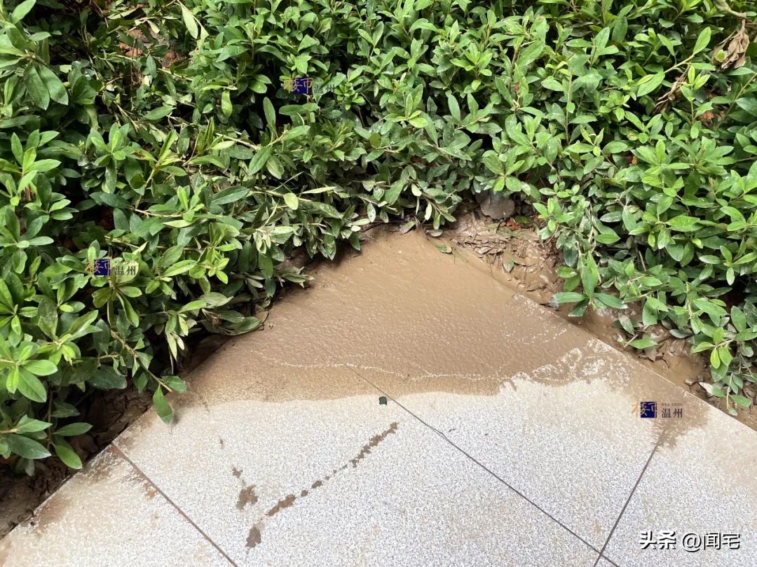 温州这个新盘交付了!号称“精工”,重要区域却极其简陋!